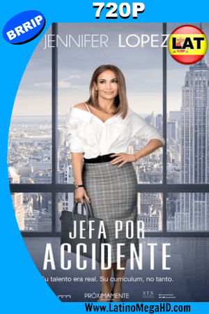 Jefa por Accidente (2018) Latino HD 720P ()